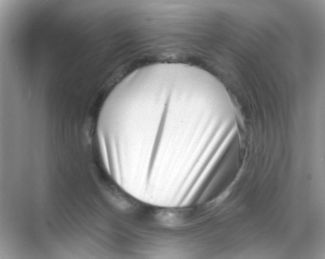 X0000068270174200605121855