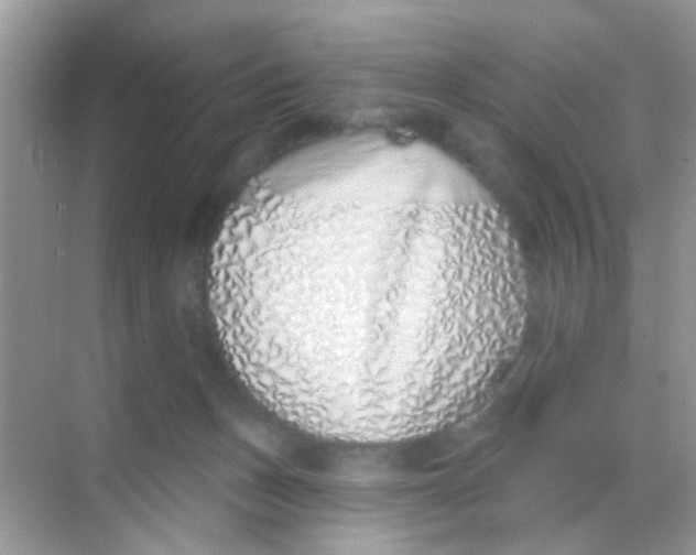 X0000068270175200605121855