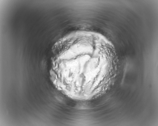 X0000068270177200605121855