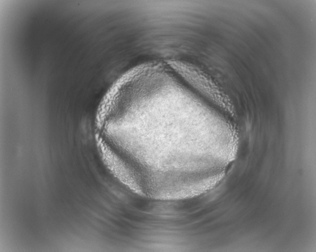 X0000068270182200605121855