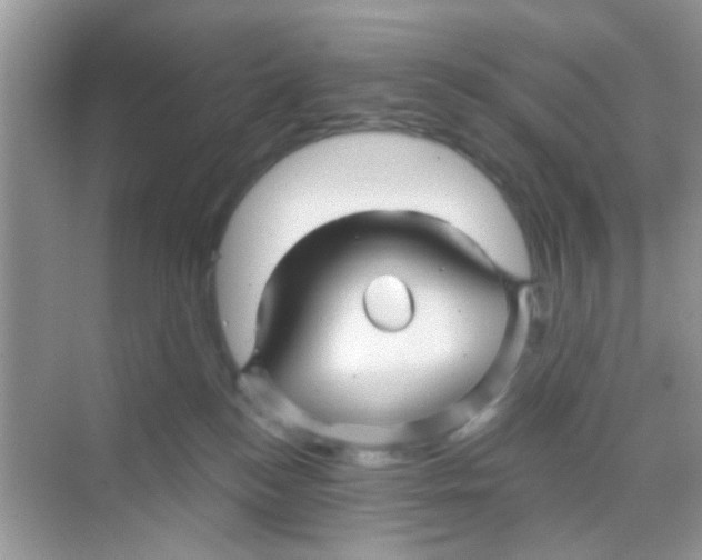 X0000068270184200605121855