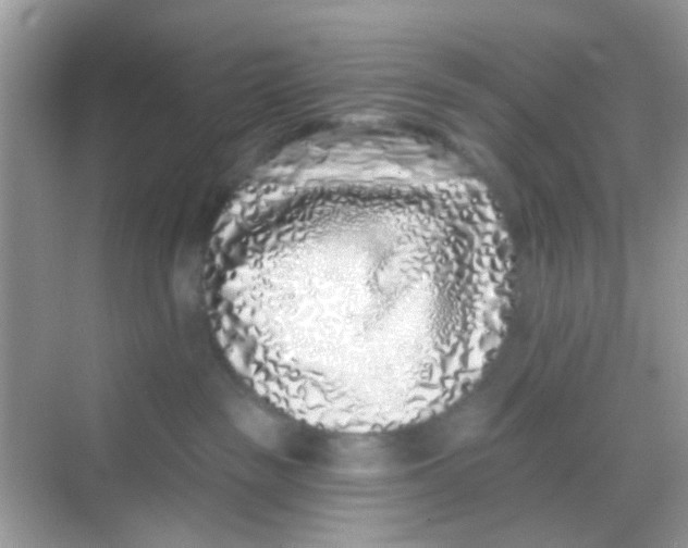 X0000068270189200605121855