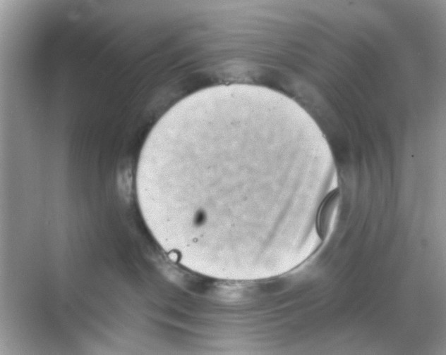 X0000068270190200605121855