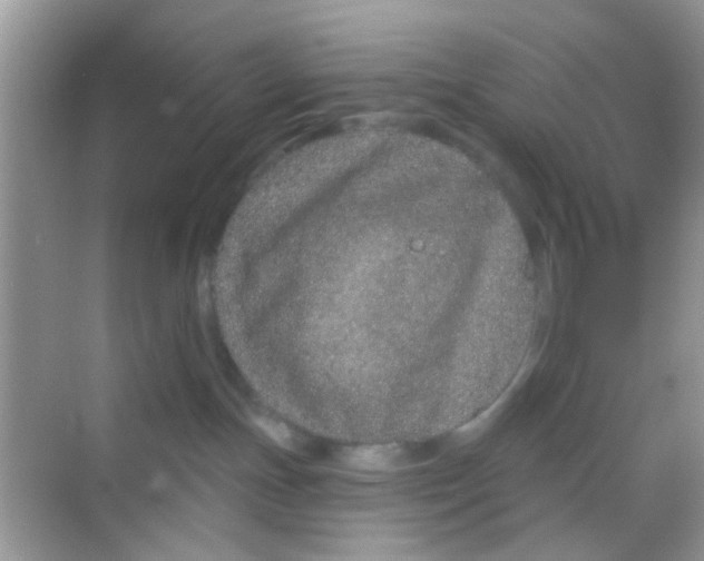 X0000068270191200605121855