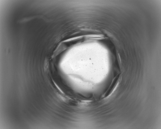 X0000068270192200605121856