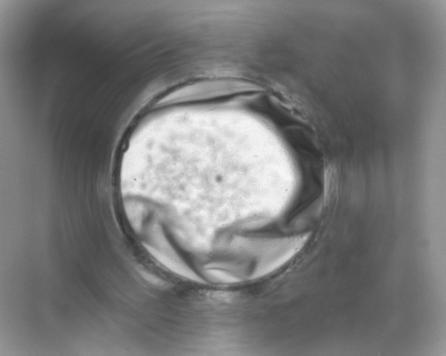 X0000068270195200605121855