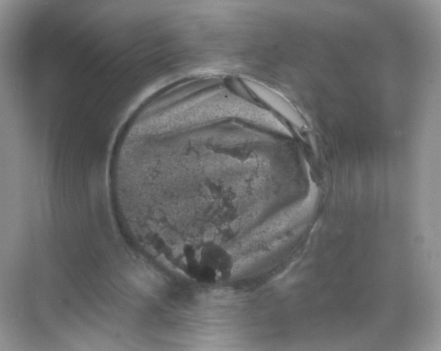 X0000068270196200605121855