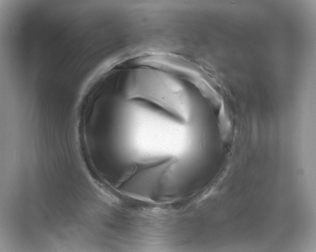 X0000068270197200605121855