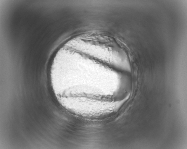 X0000068270198200605121855