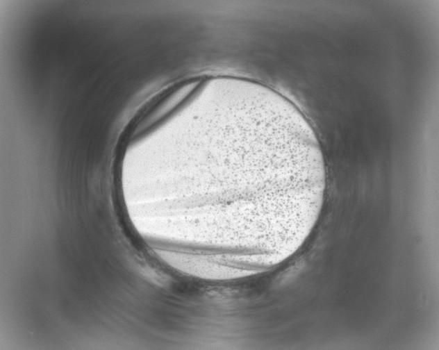 X0000068270199200605121855