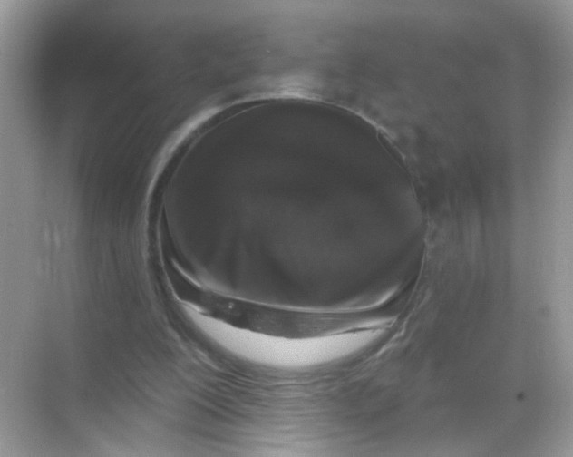 X0000068270200200605121855