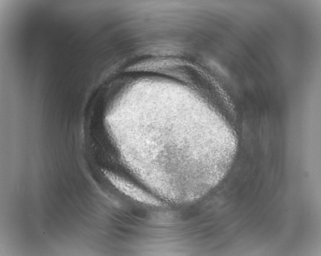 X0000068270202200605121855