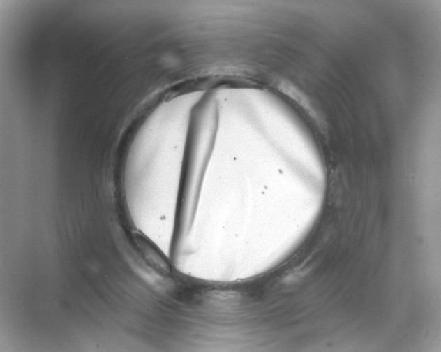 X0000068270203200605121855