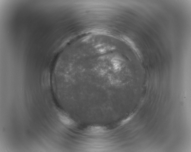 X0000068270205200605121854