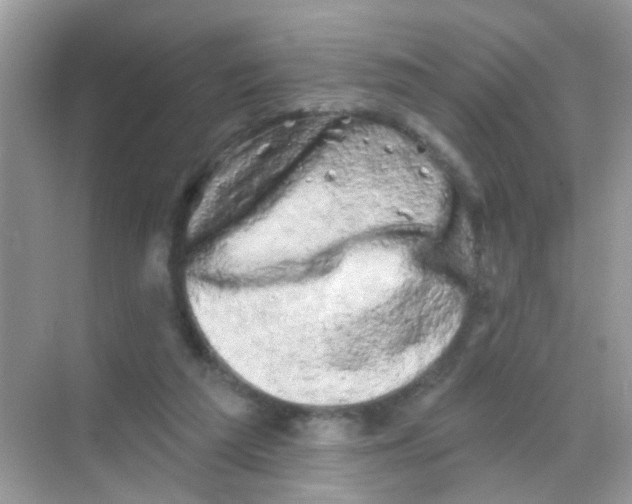 X0000068270209200605121854