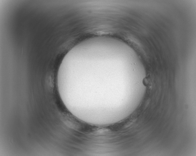 X0000068270210200605121854