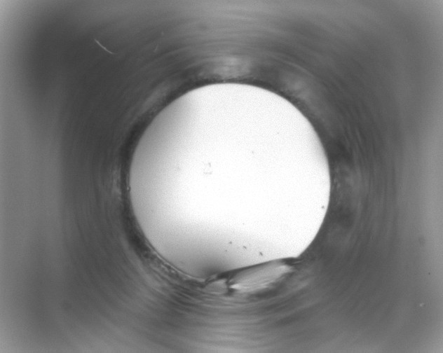 X0000068270212200605121854