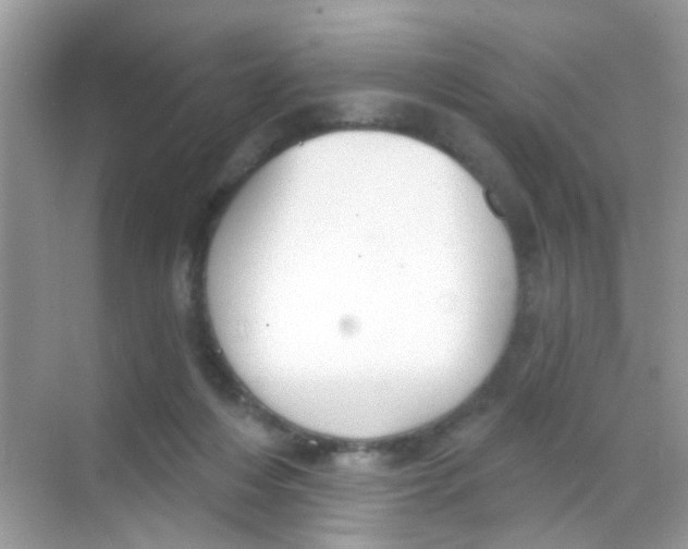 X0000068270216200605121854