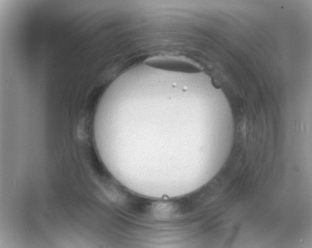 X0000068270218200605121854