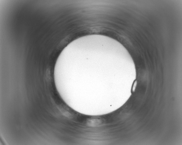 X0000068270220200605121854