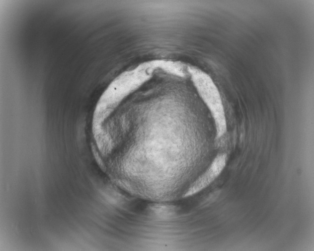 X0000068270221200605121854