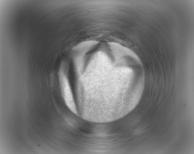 X0000068270222200605121854