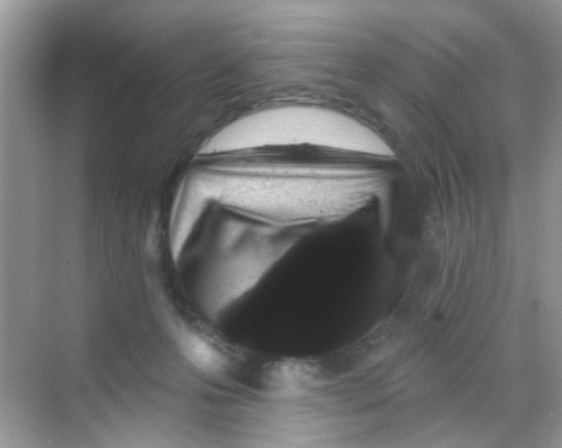 X0000068270223200605121854