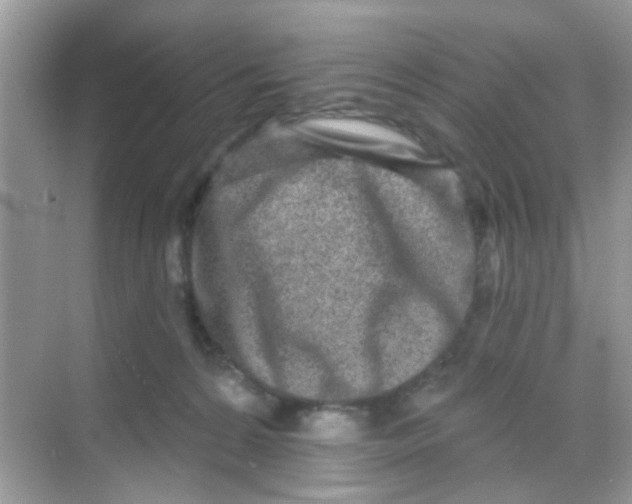 X0000068270224200605121854