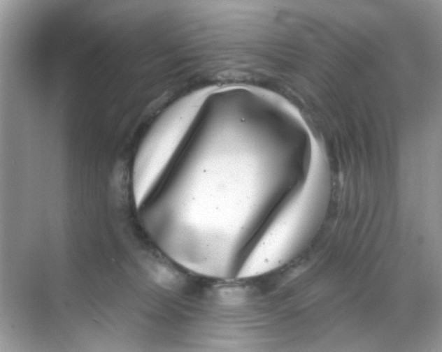 X0000068270228200605121854