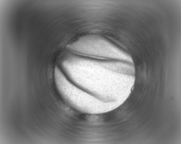 X0000068270230200605121854