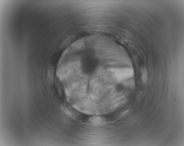 X0000068270231200605121854