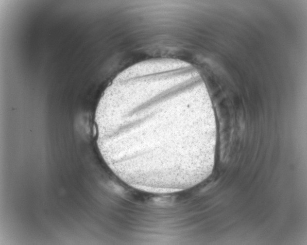 X0000068270232200605121854