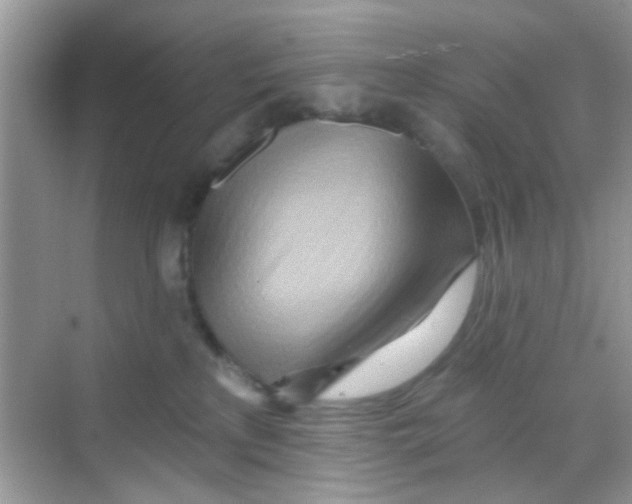 X0000068270233200605121854