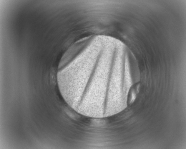 X0000068270234200605121854