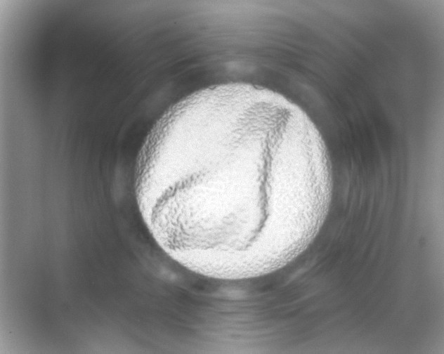 X0000068270236200605121854