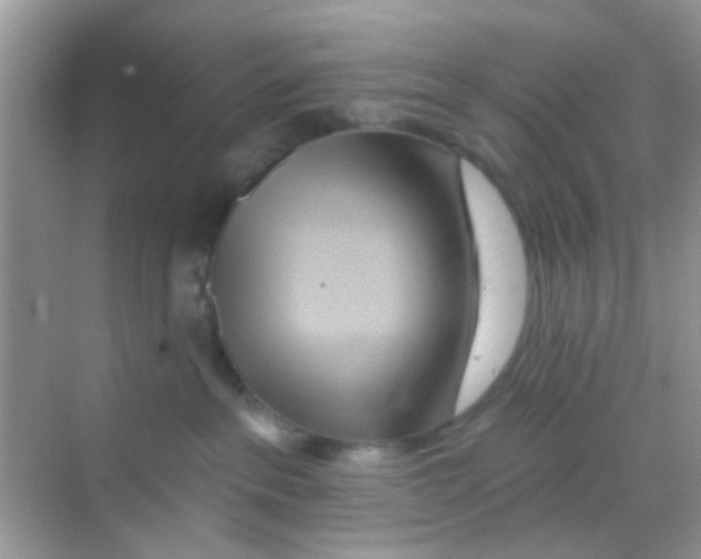 X0000068270237200605121854