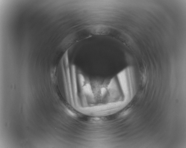 X0000068270239200605121854