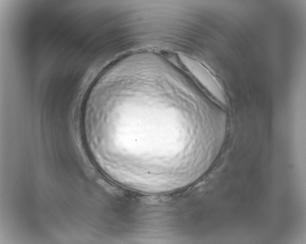 X0000068270241200605121853