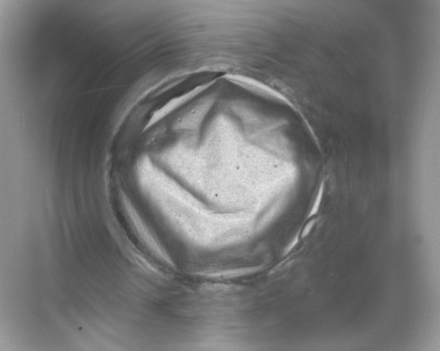 X0000068270242200605121853