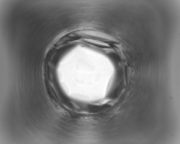 X0000068270244200605121853