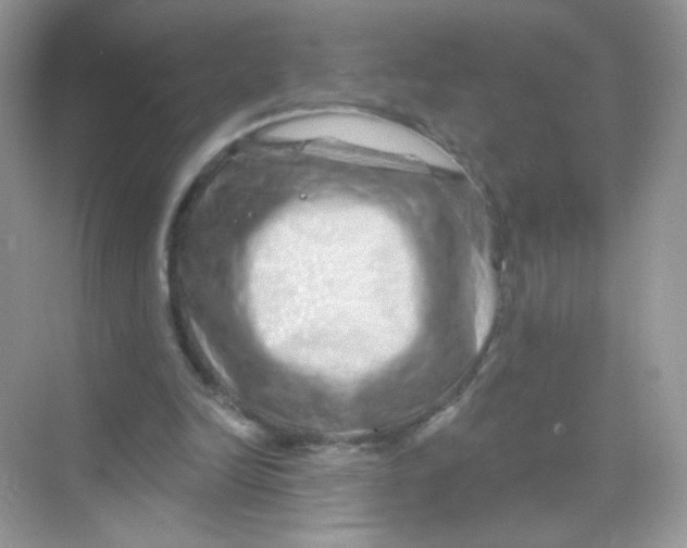 X0000068270246200605121853