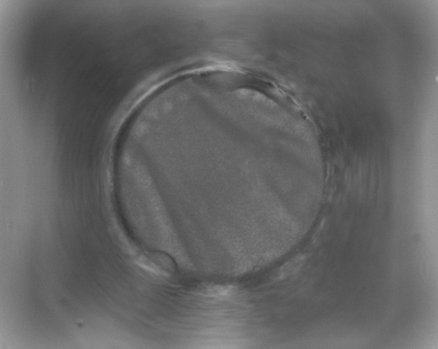 X0000068270247200605121853