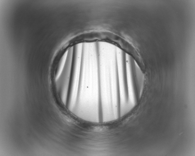 X0000068270248200605121853