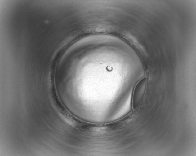 X0000068270250200605121853