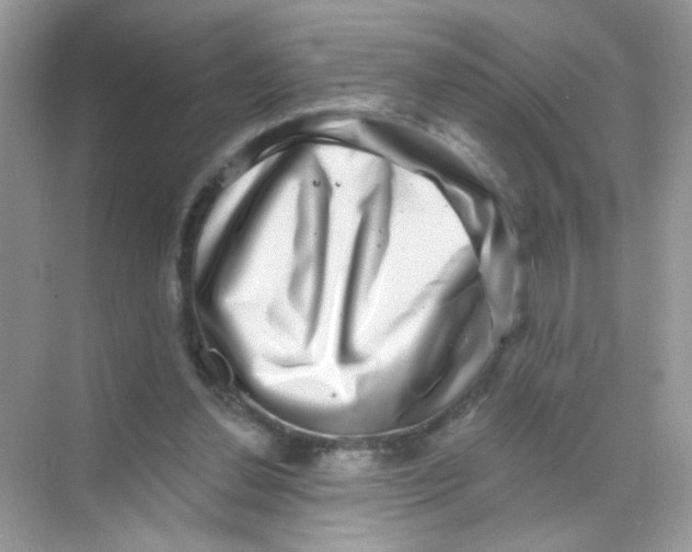 X0000068270252200605121853