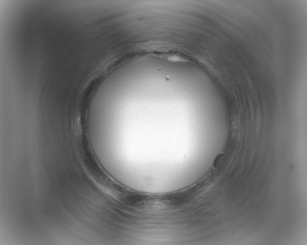 X0000068270254200605121853