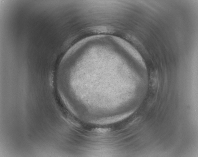 X0000068270255200605121853