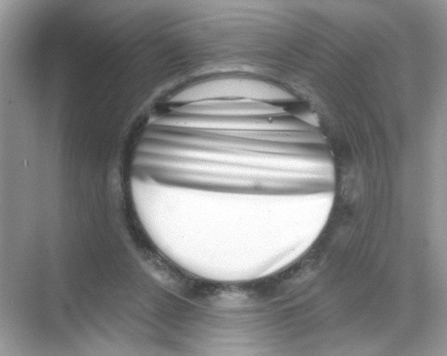 X0000068270256200605121853