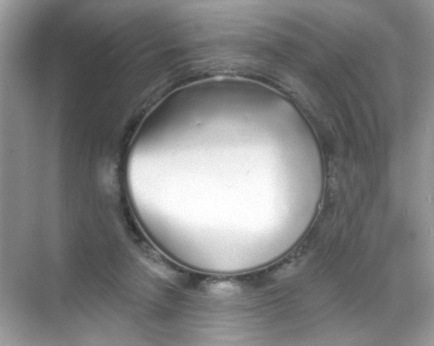 X0000068270258200605121853