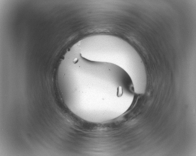 X0000068270260200605121853